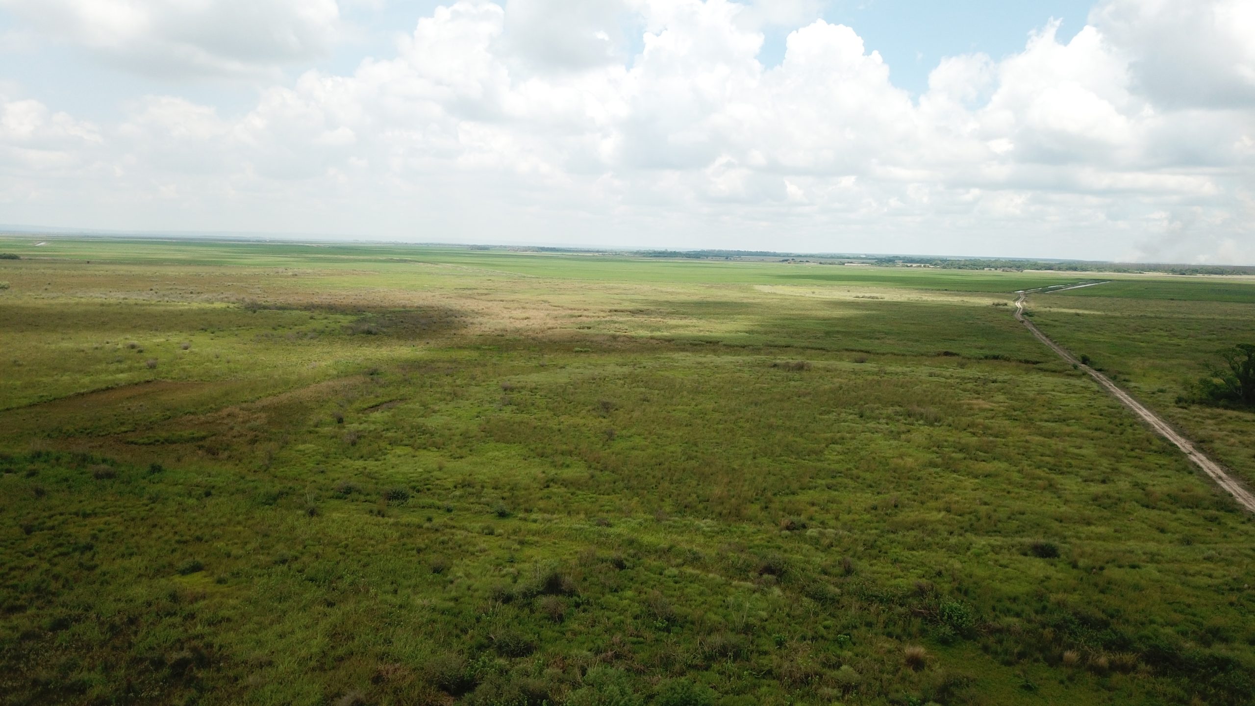 3847E58D59CBCF7F1F895CC4FC99696A