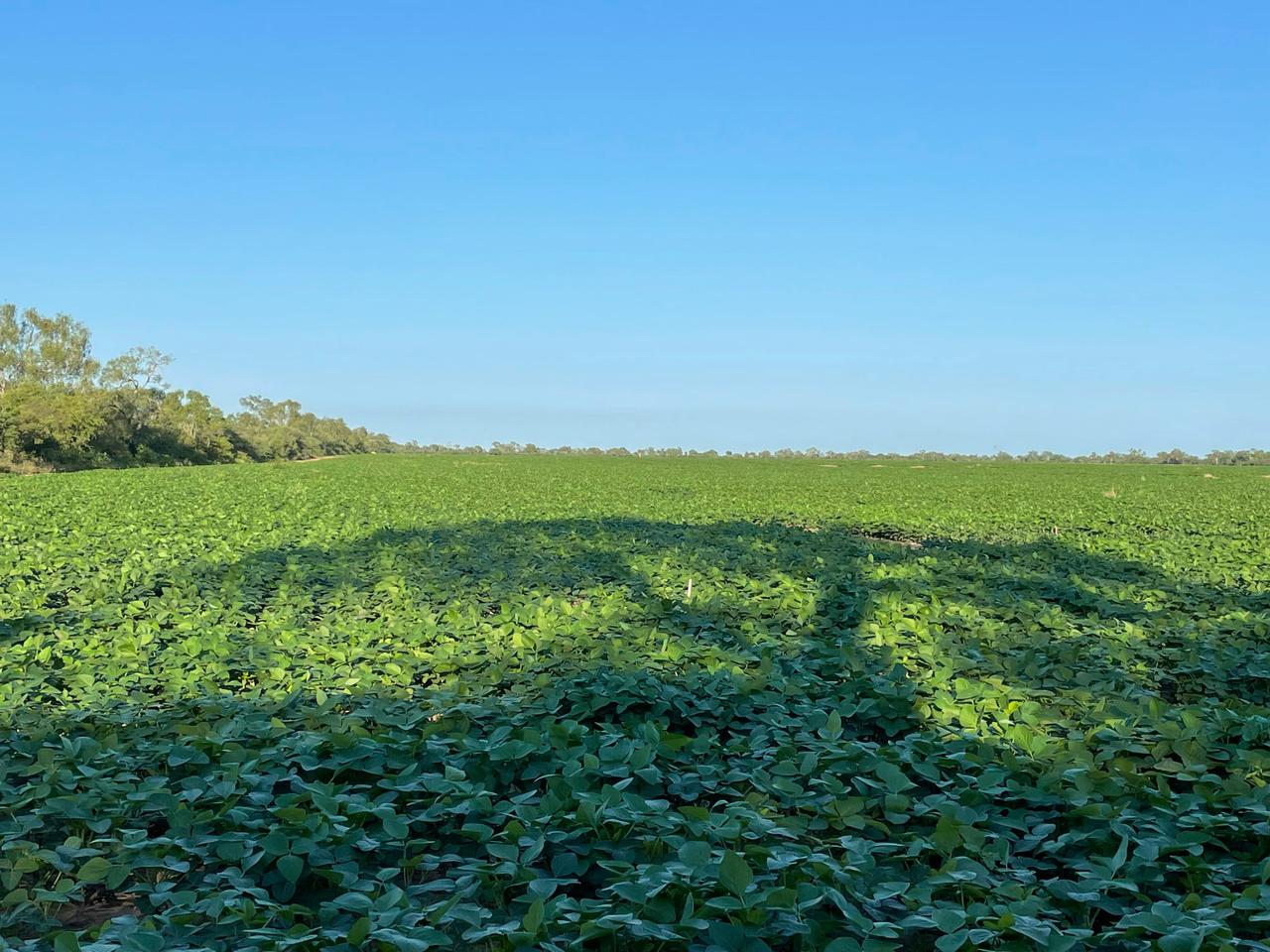 Copia de PHOTO-2024-11-19-08-52-36 (1)