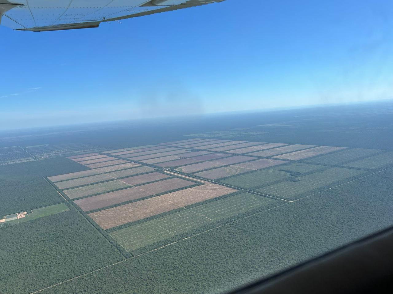 Copia de PHOTO-2024-11-19-08-52-36 (2)