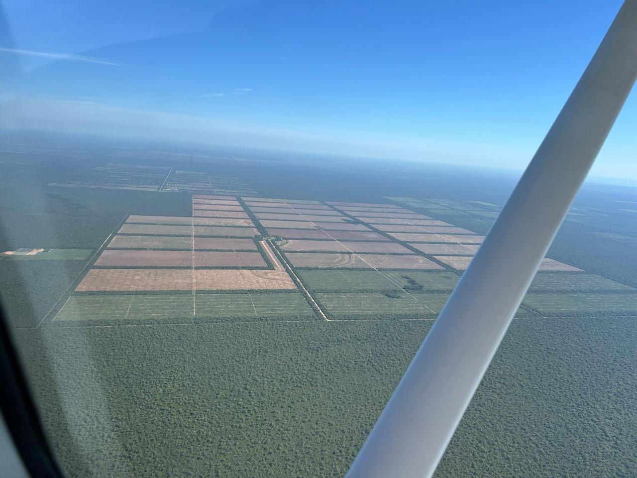 Copia de PHOTO-2024-11-19-08-52-36