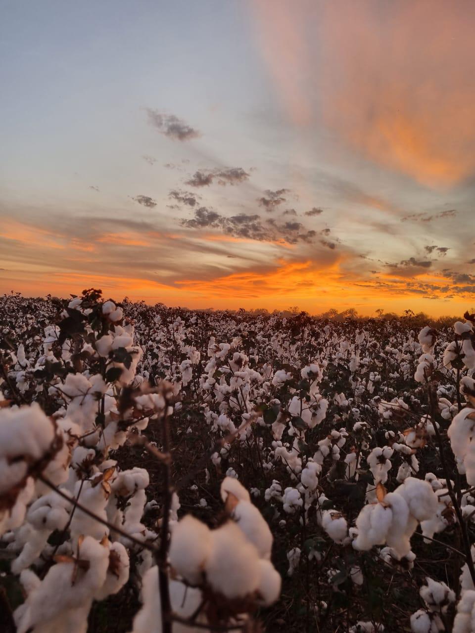 Copia de PHOTO-2024-11-19-08-52-37