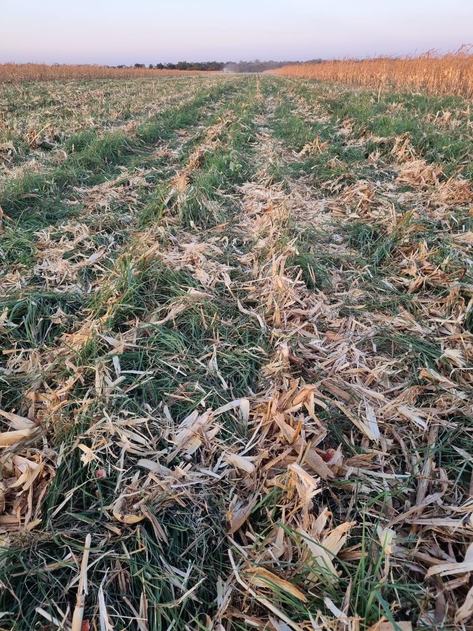 Copia de PHOTO-2024-11-19-08-52-38