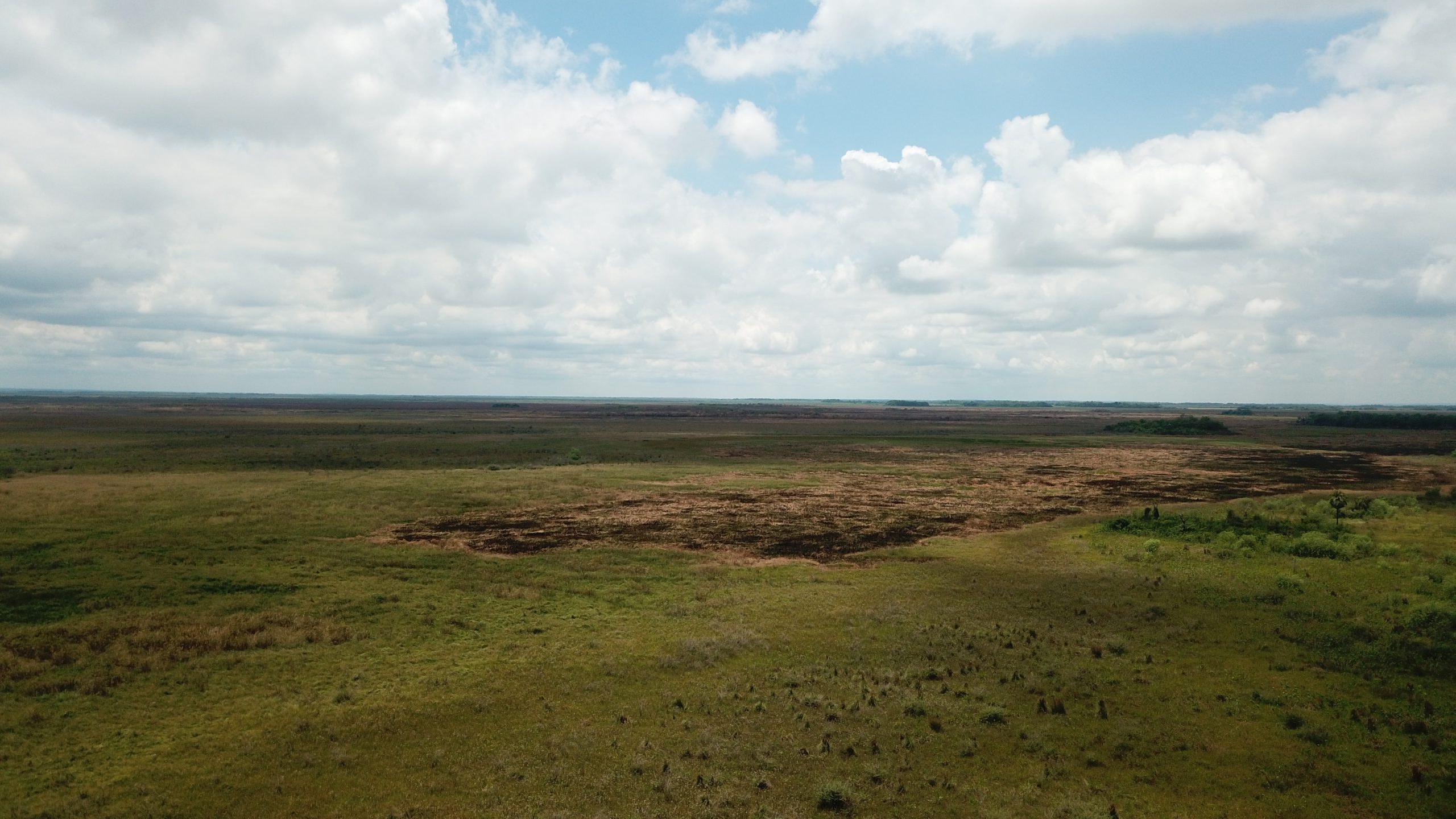 EE9DB61150C5165902C34D87EB85C213