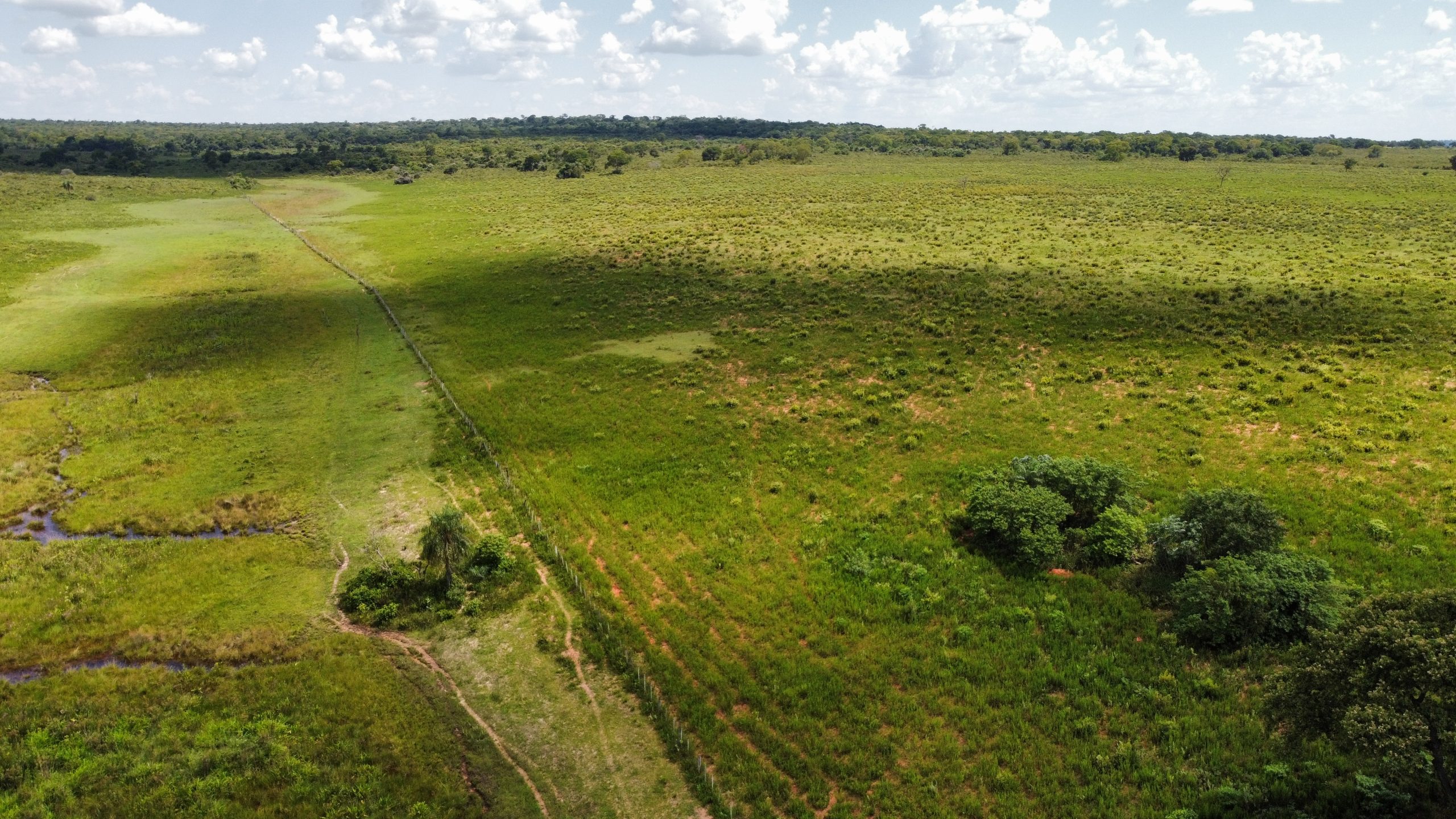 dji_fly_20230208_150144_810_1675901391704_photo_optimized