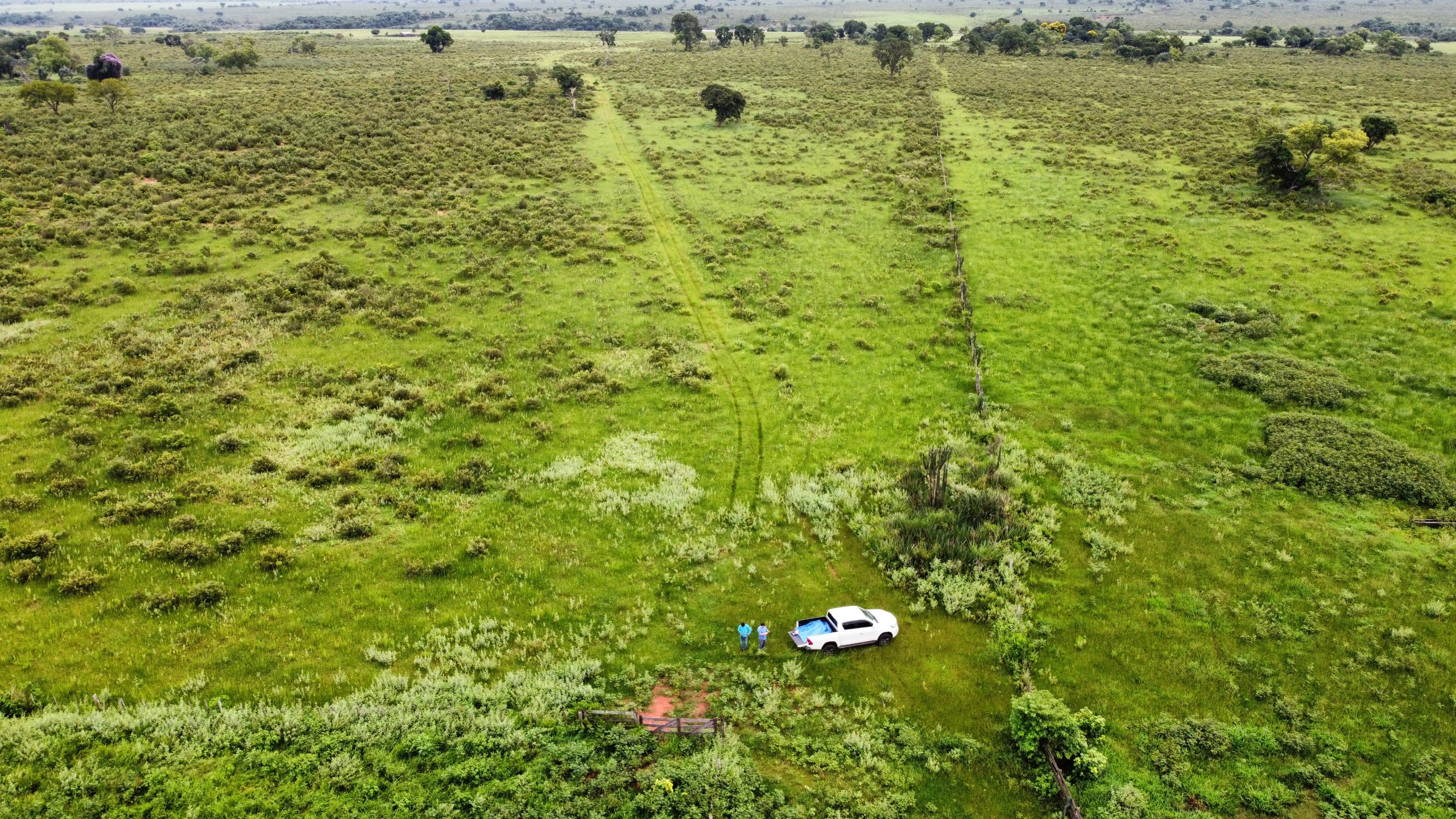 dji_fly_20230308_083922_887_1678723365183_photo_optimized