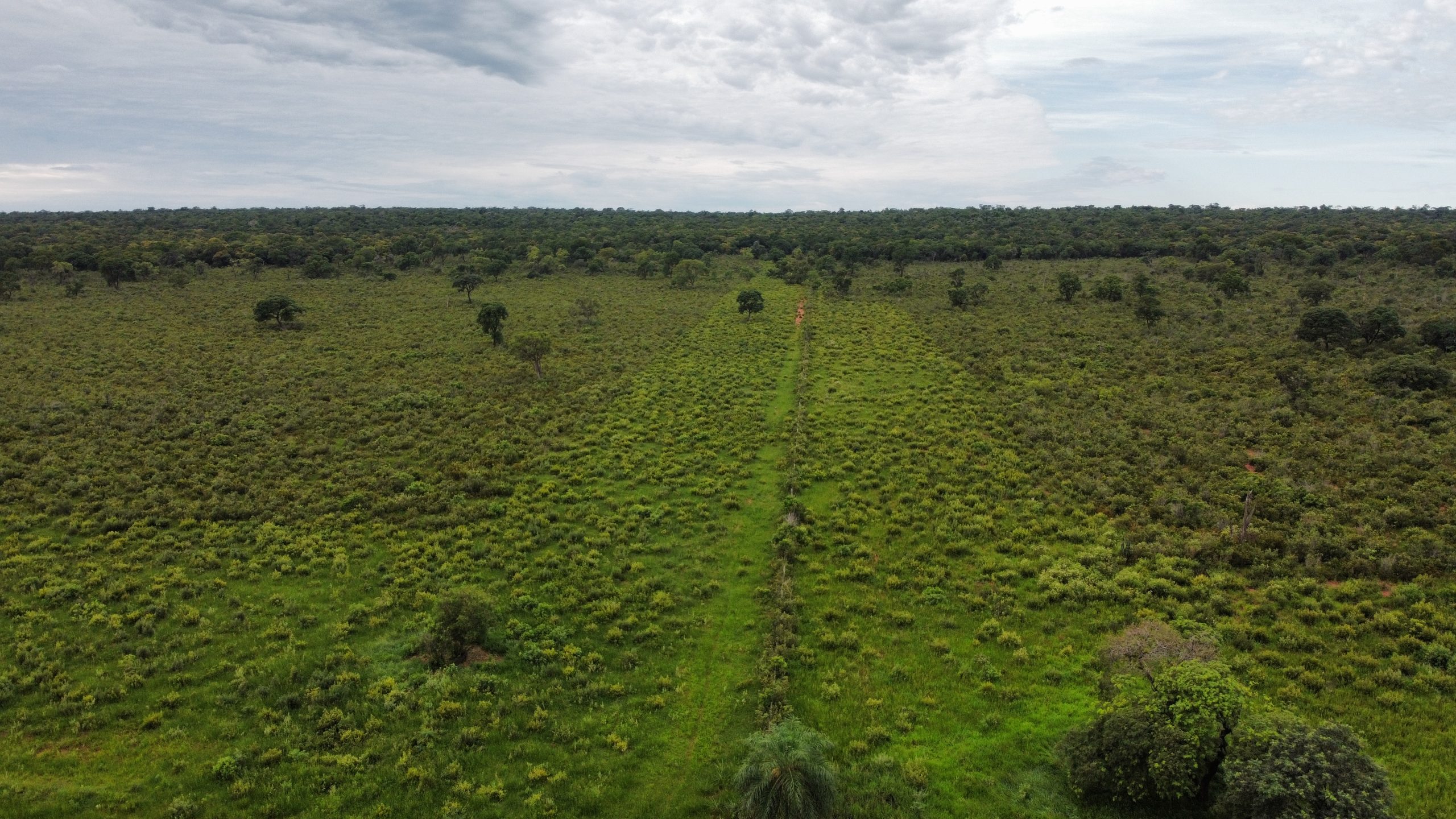 dji_fly_20230308_084104_889_1678723370953_photo_optimized