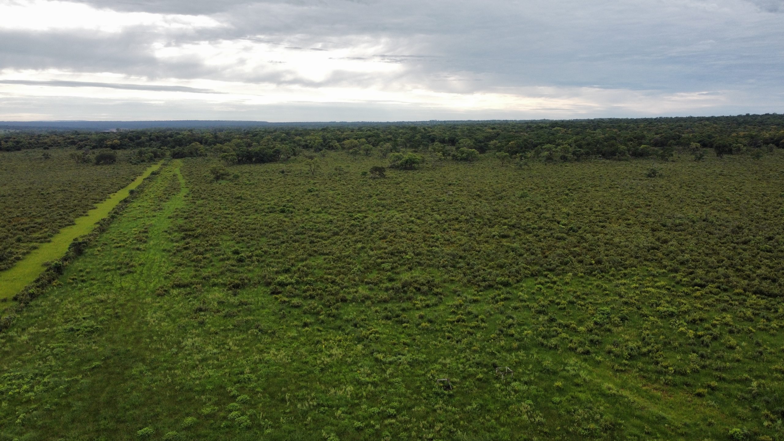 dji_fly_20230308_084114_891_1678723382849_photo_optimized