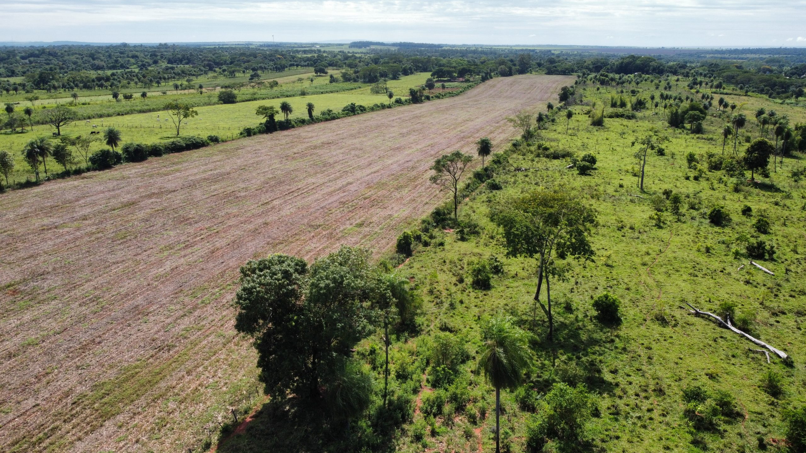 dji_fly_20230308_102742_899_1678723400929_photo_optimized