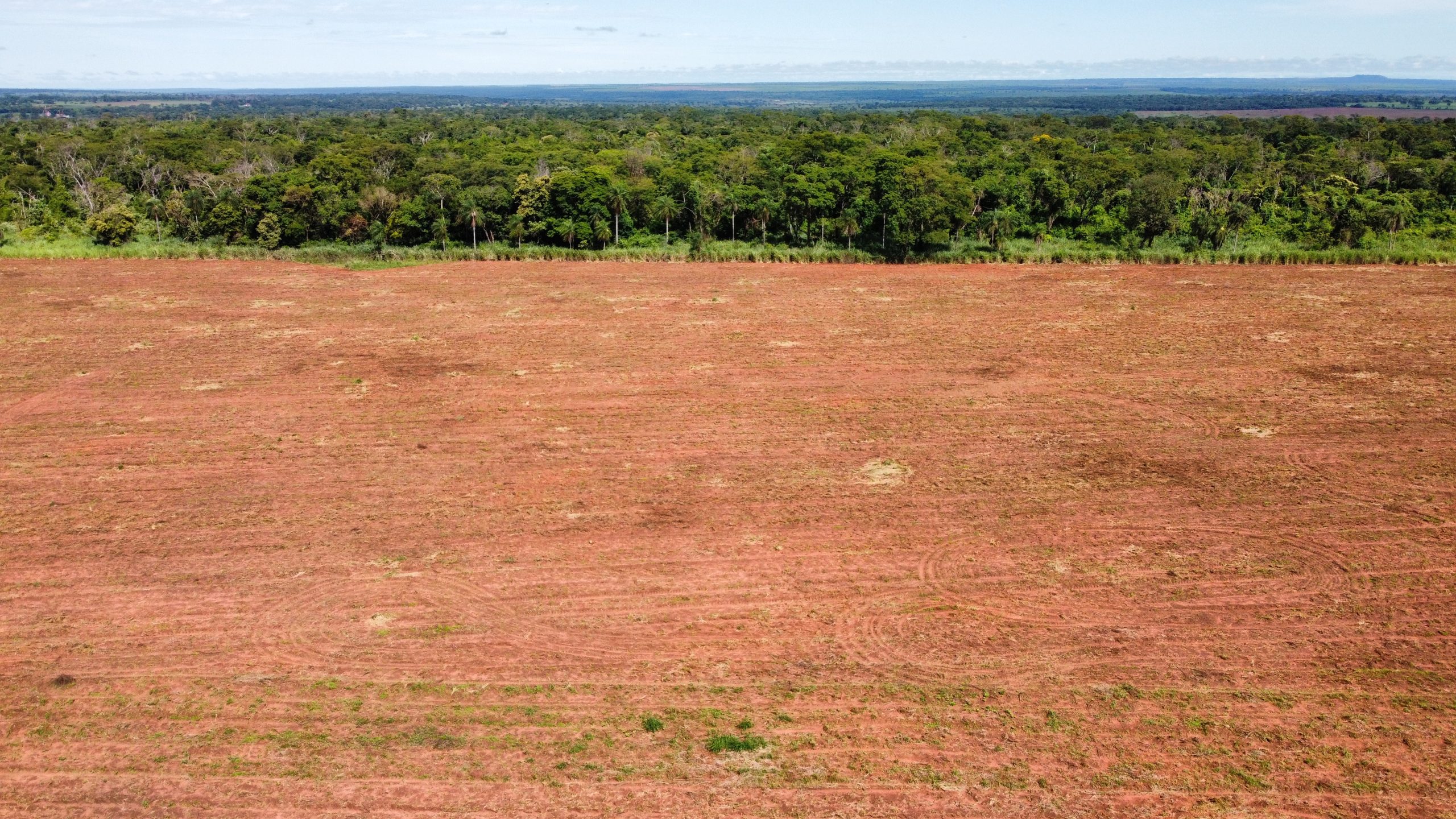 dji_fly_20230308_102806_902_1678723422666_photo_optimized