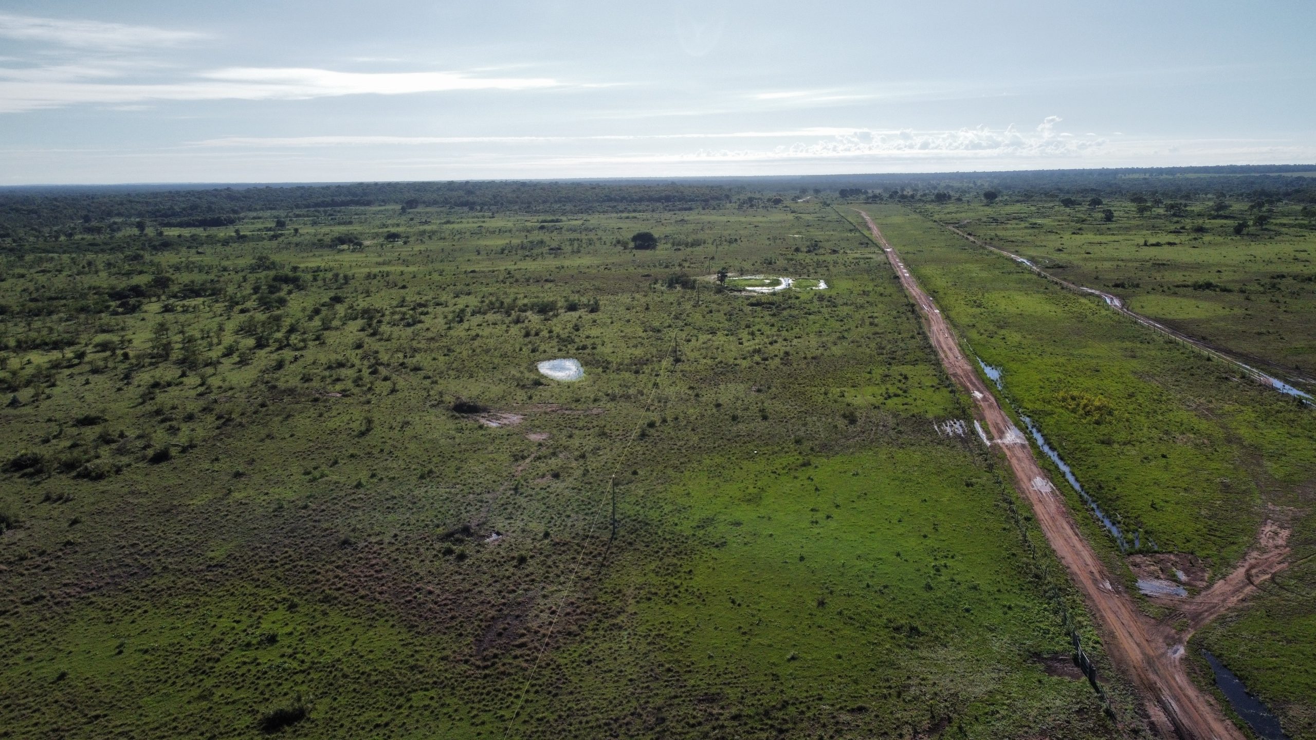 dji_fly_20230310_085146_912_1678821408369_photo_optimized