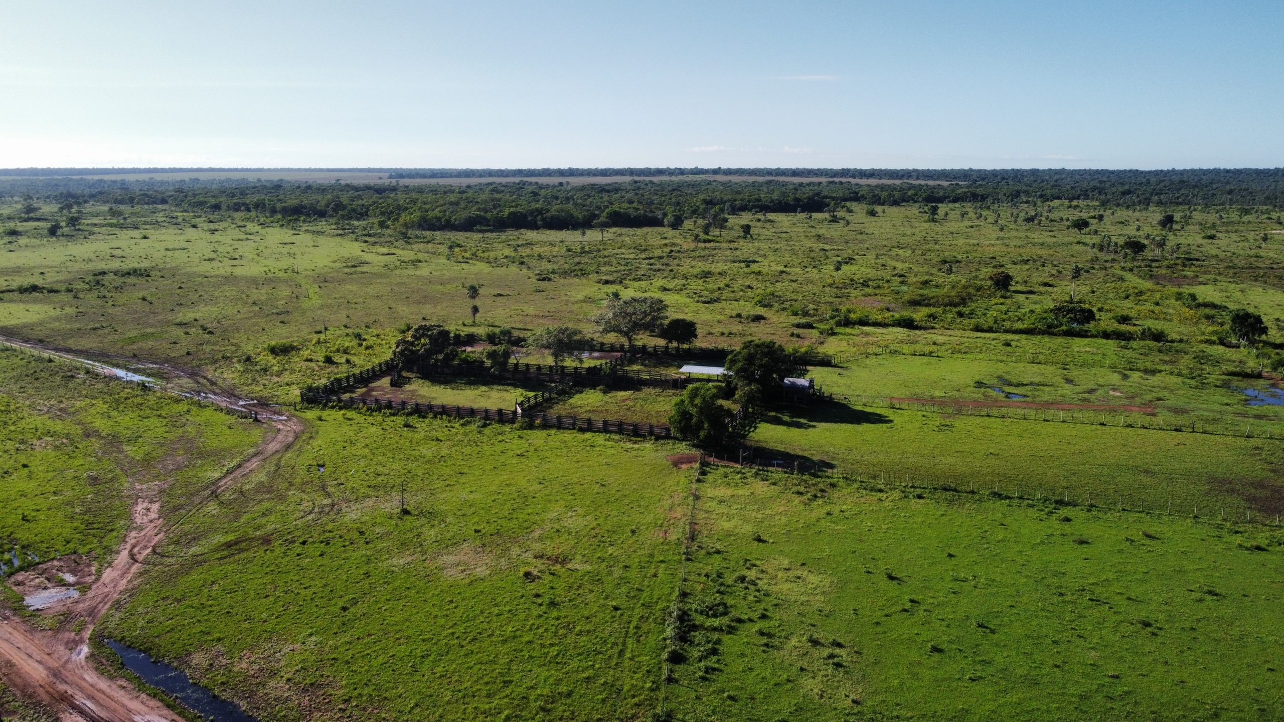 dji_fly_20230310_085152_913_1678821409652_photo_optimized