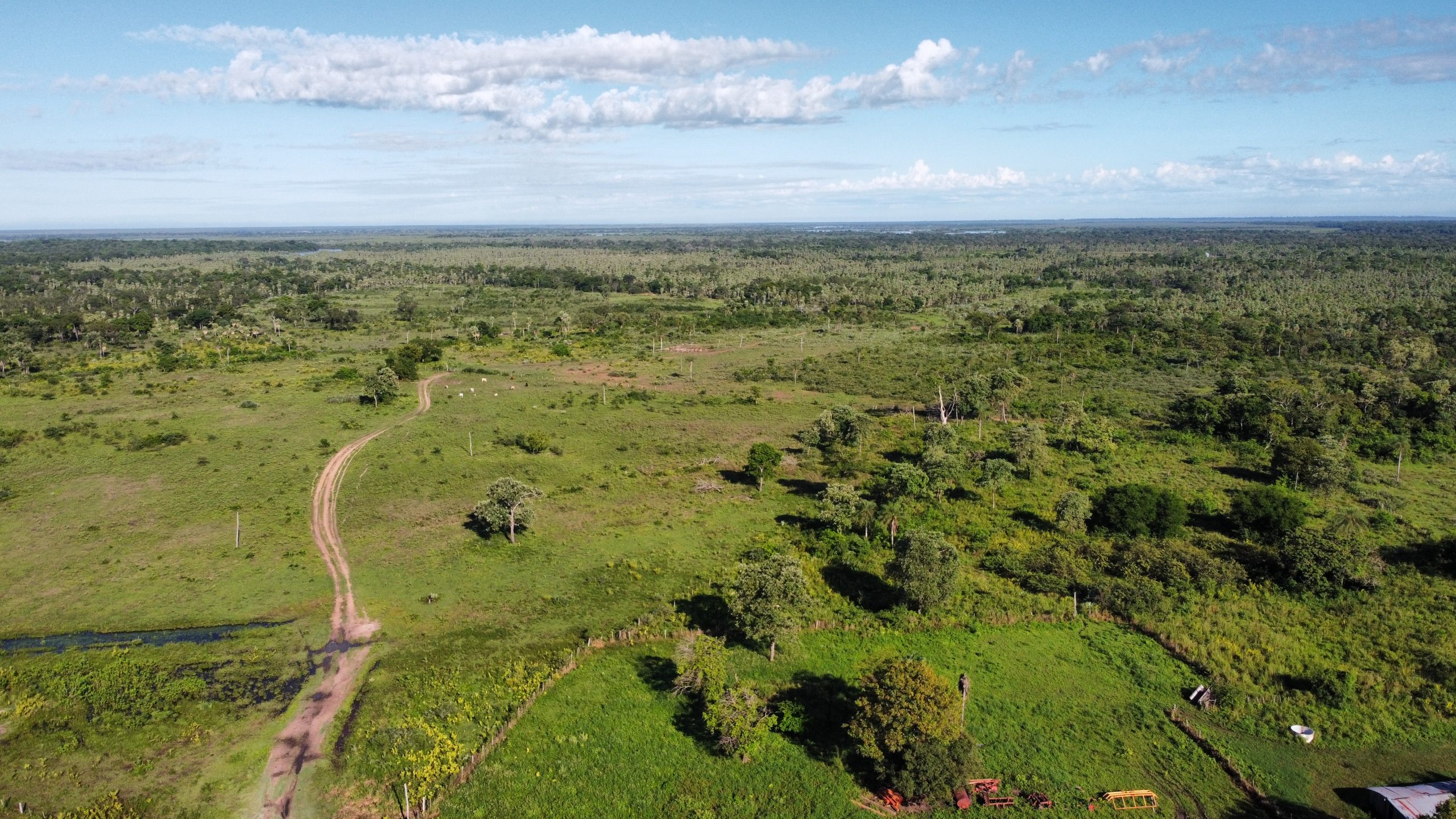 dji_fly_20230310_085244_916_1678821413682_photo_optimized