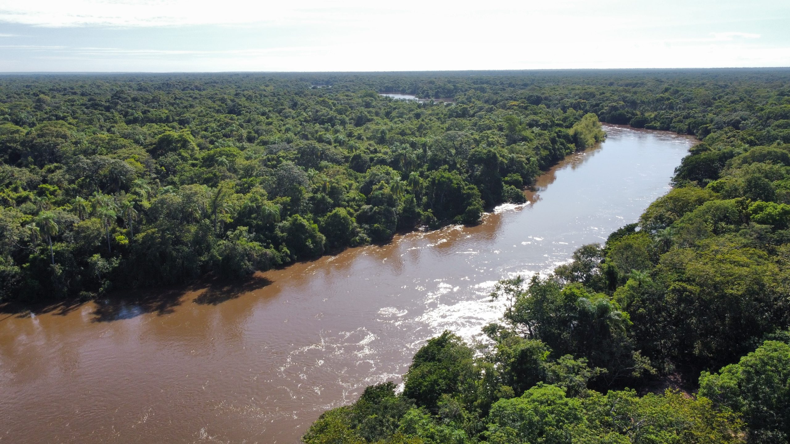 dji_fly_20230310_092416_921_1678821419695_photo_optimized