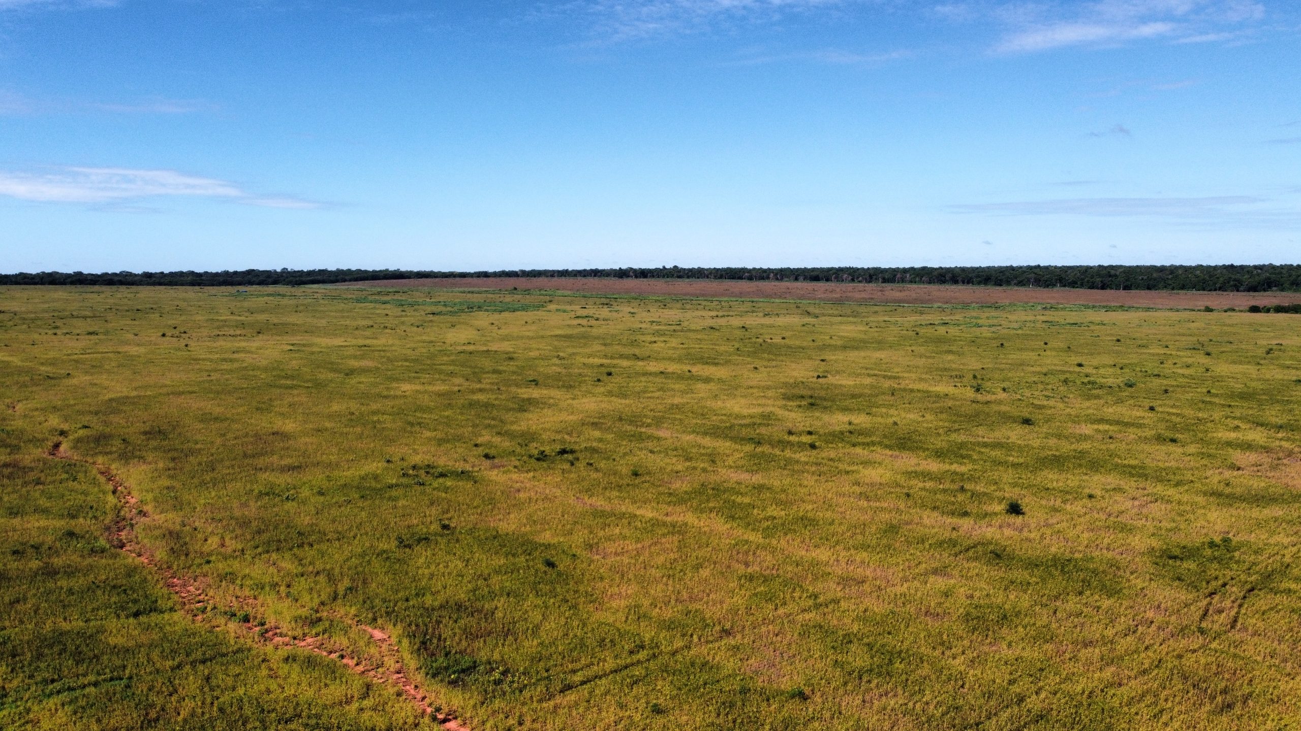 dji_fly_20230310_100804_932_1678821431384_photo_optimized