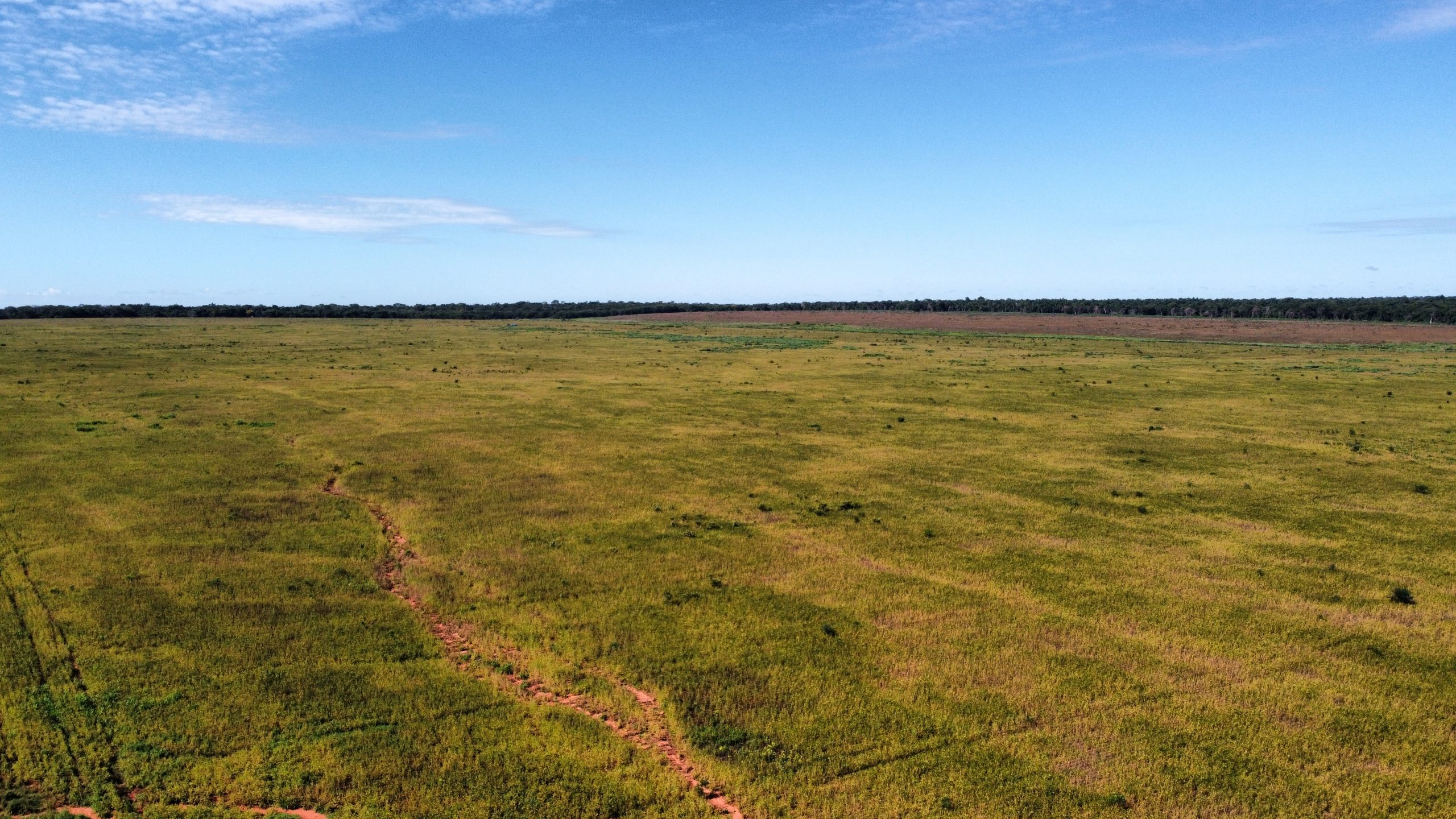 dji_fly_20230310_100806_933_1678821432722_photo_optimized