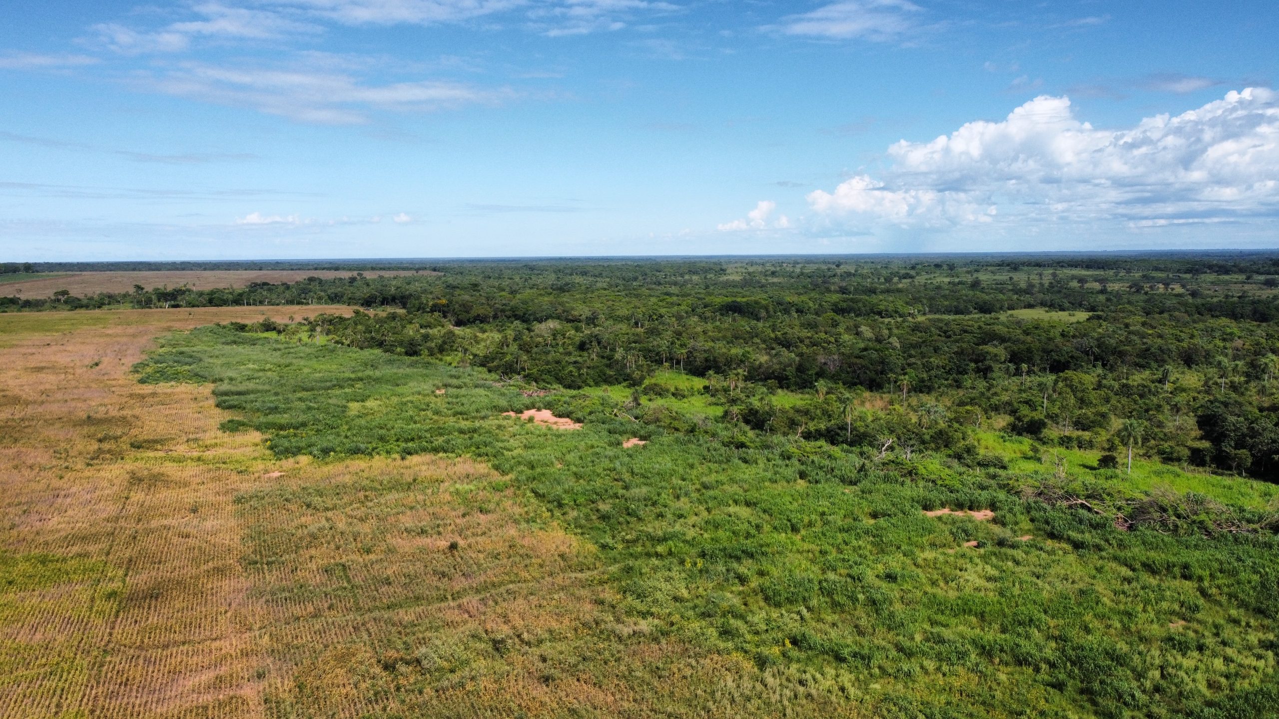 dji_fly_20230310_100814_935_1678821435482_photo_optimized