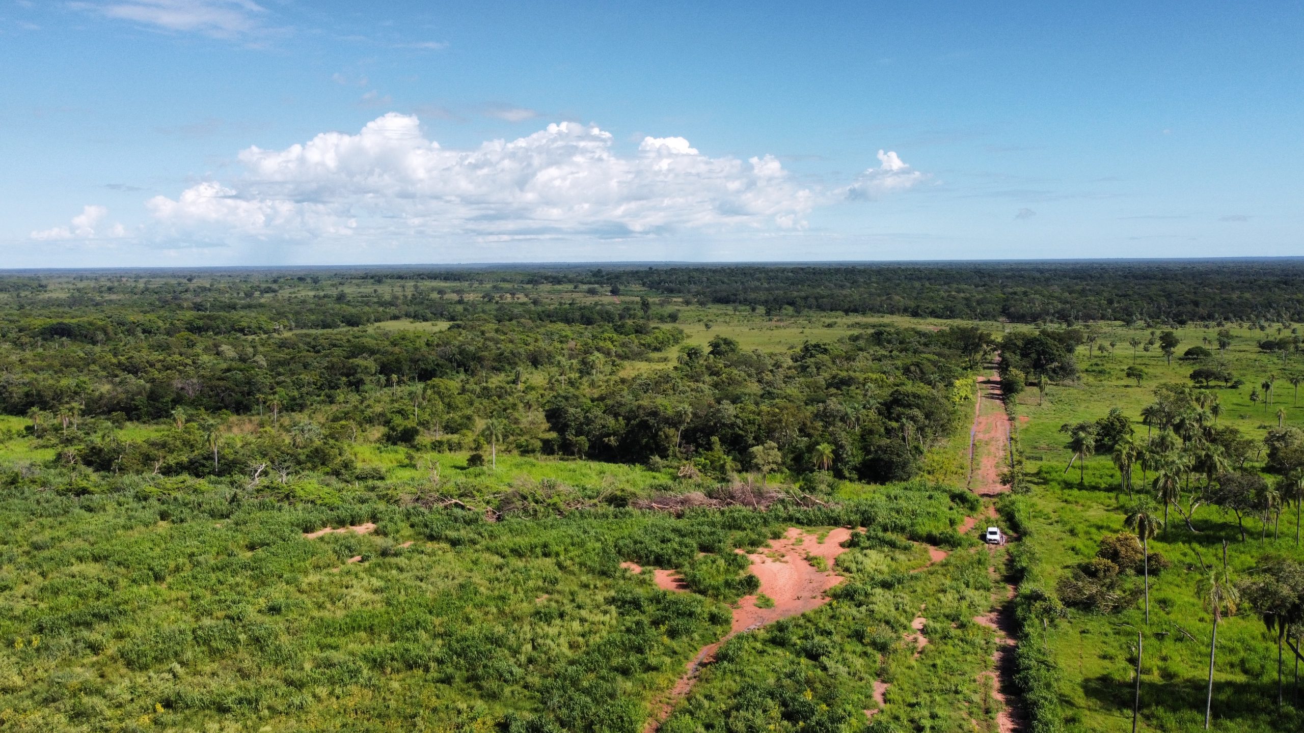 dji_fly_20230310_100818_936_1678821436812_photo_optimized