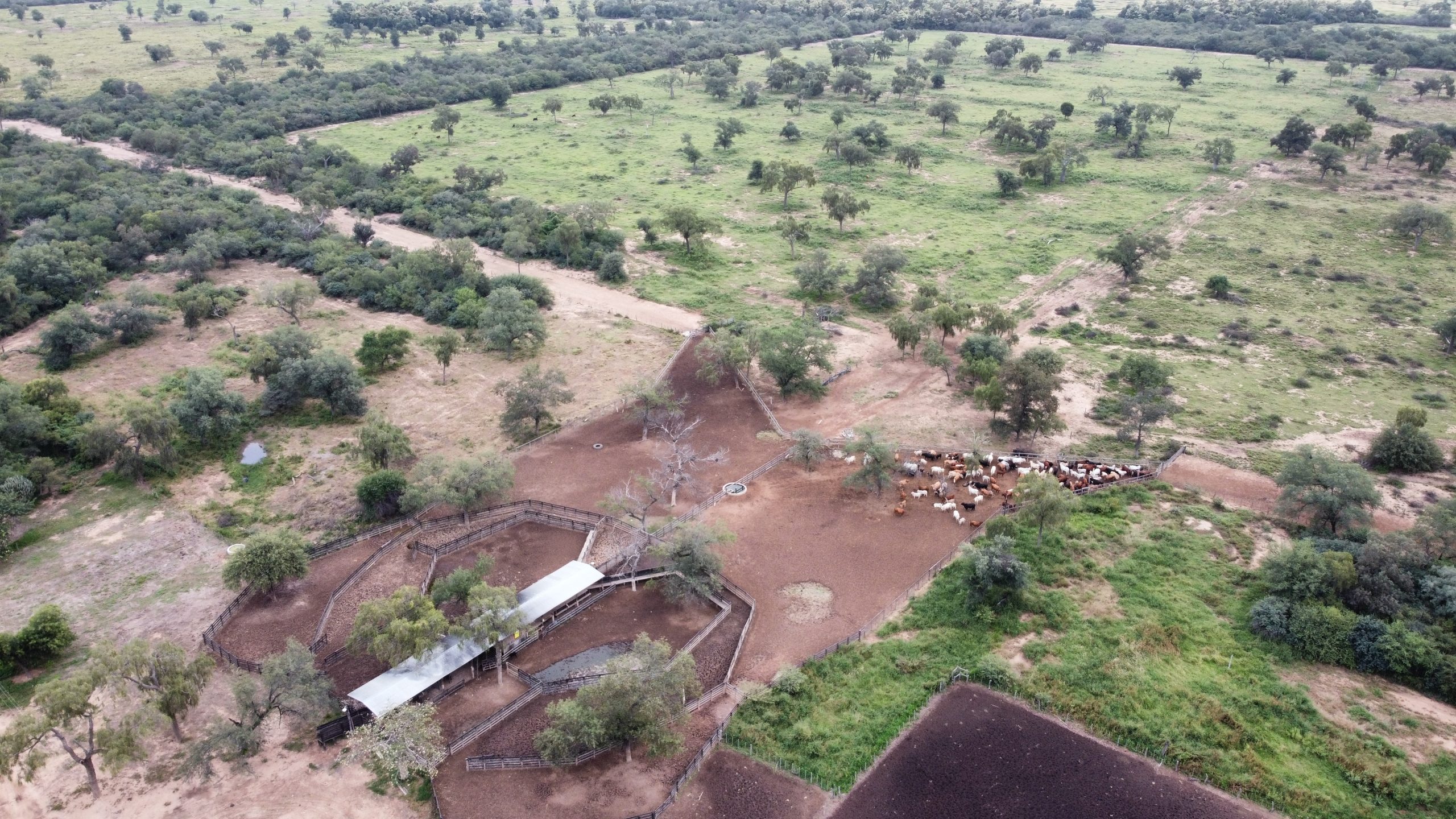 dji_fly_20230425_171002_235_1683039050991_photo_optimized