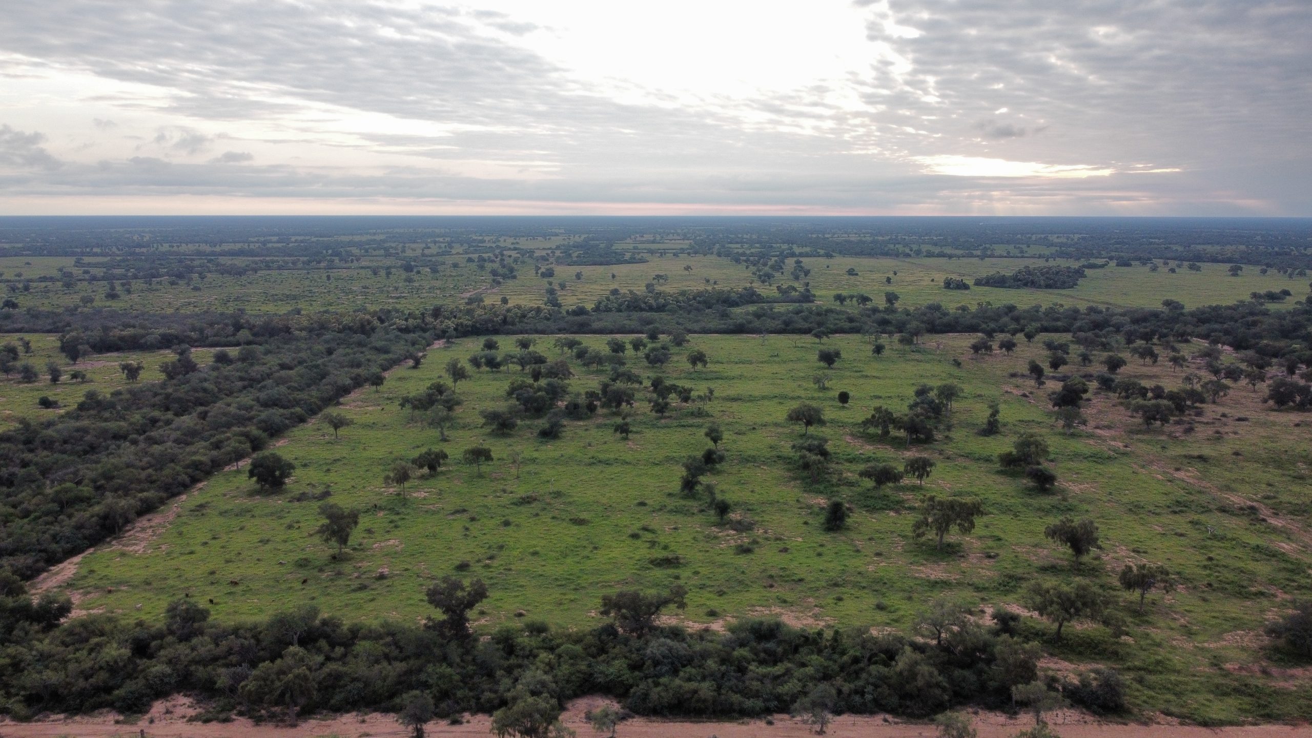 dji_fly_20230425_171556_238_1683039041682_photo_optimized