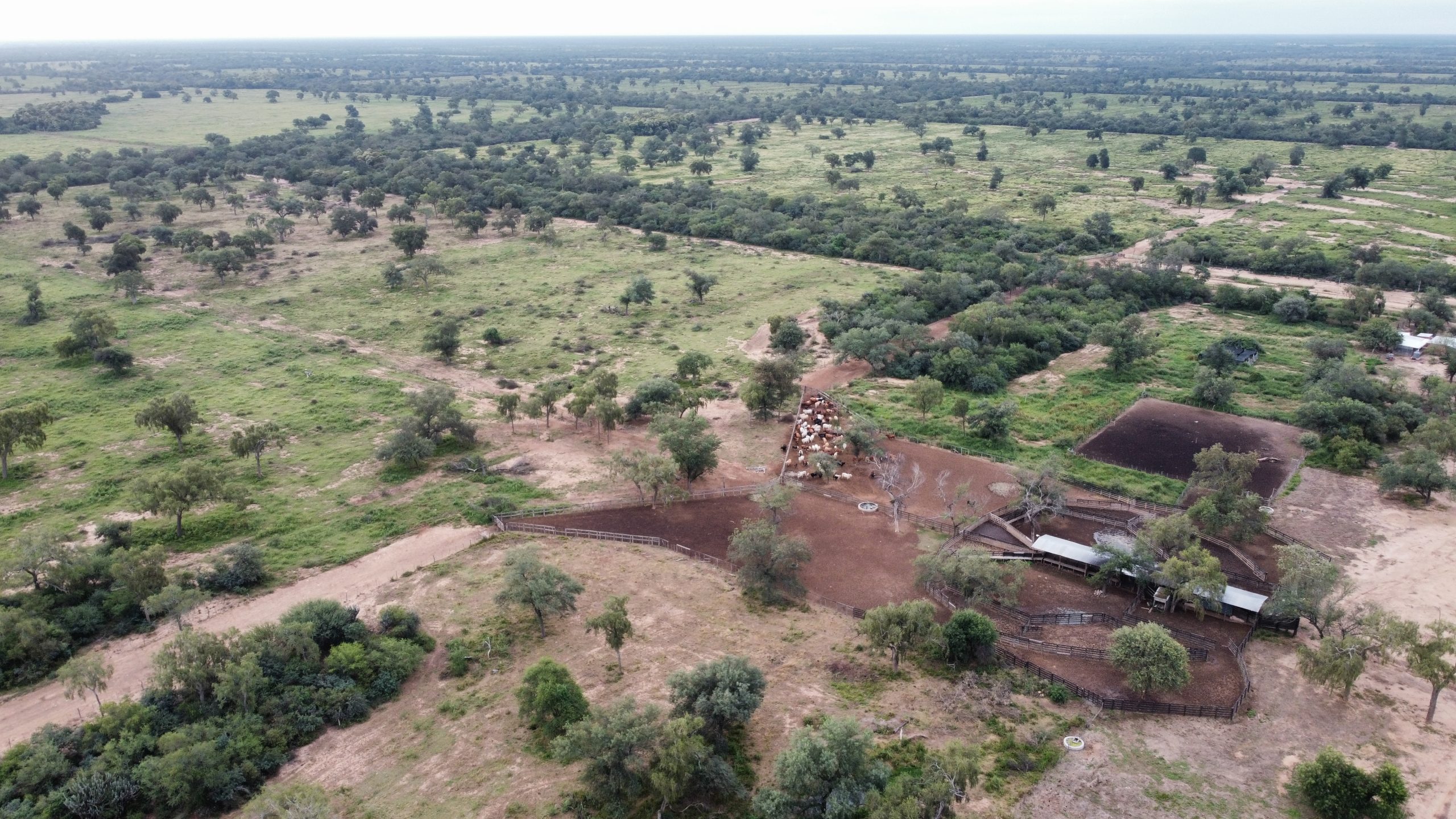 dji_fly_20230425_171606_239_1683039036661_photo_optimized