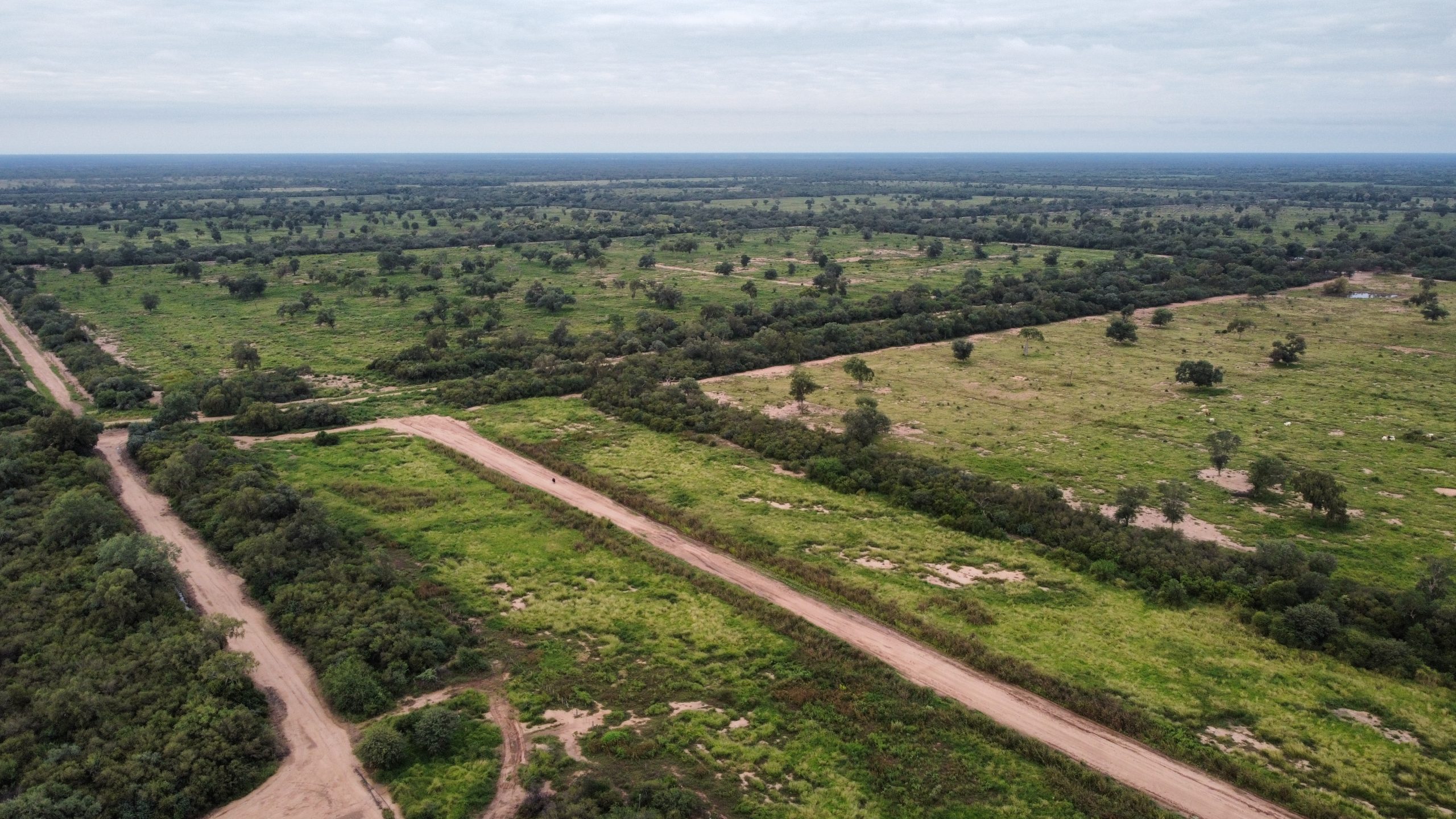 dji_fly_20230425_171640_242_1683039021816_photo_optimized