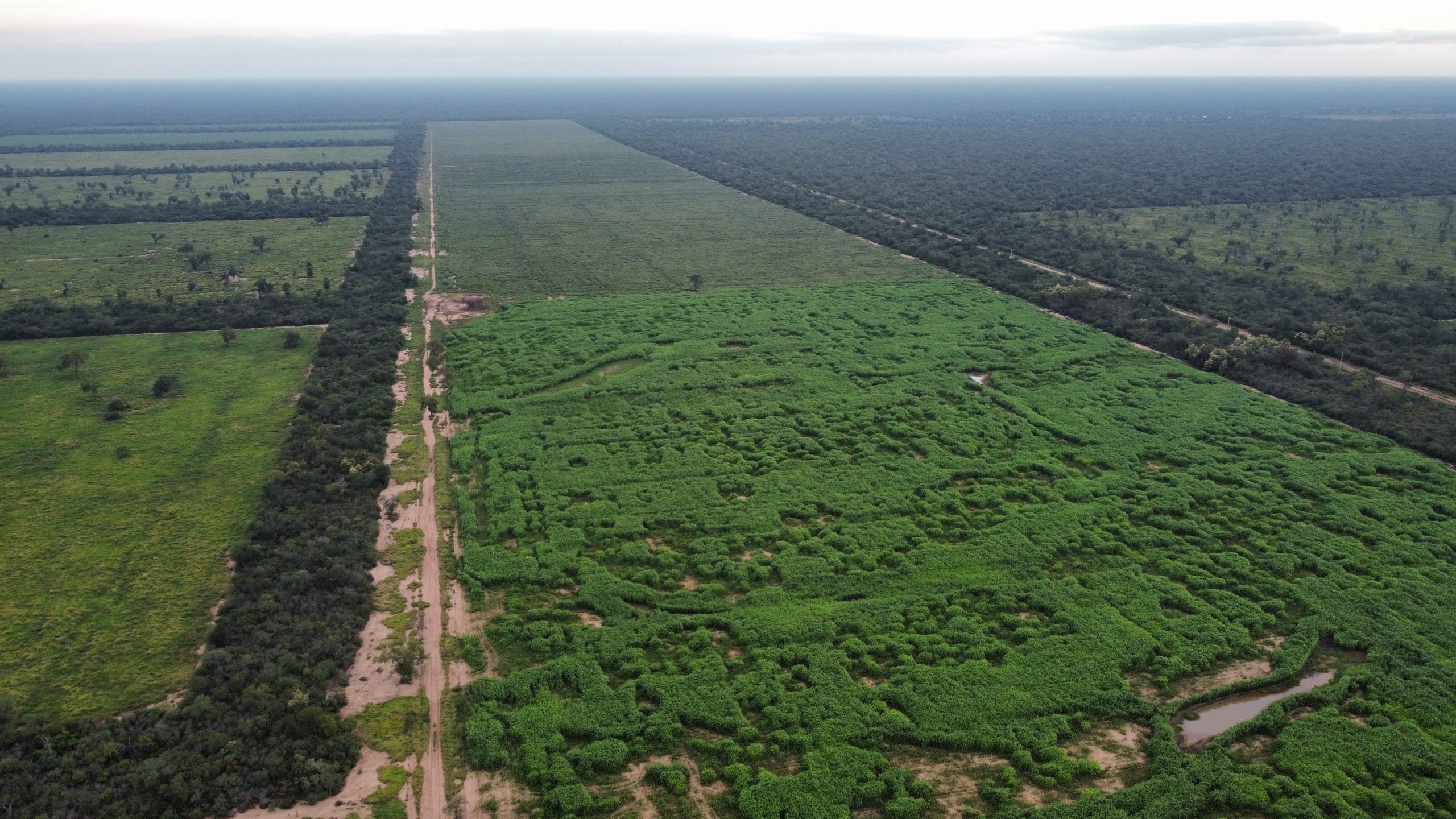 dji_fly_20230425_173254_247_1683039002072_photo_optimized